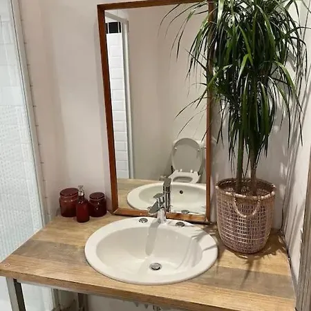 Gezellig Gerenoveerd Herenhuis In Het Centrum Apartment Antwerp