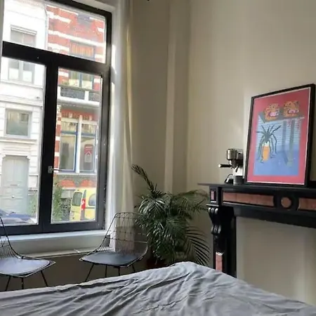 Apartment Gezellig Gerenoveerd Herenhuis In Het Centrum Antwerp